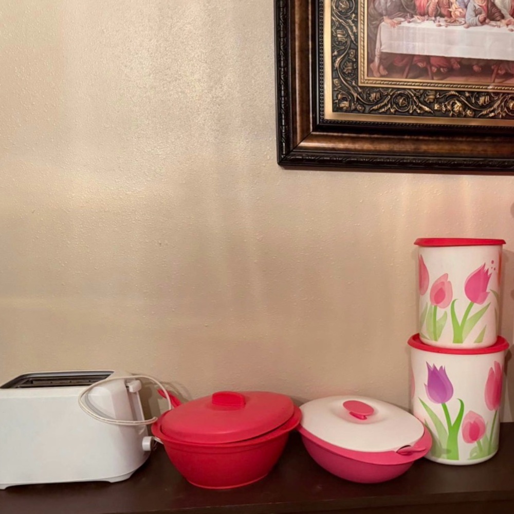 Used Tupperware 4 bowls  2 Tulip,  rice and soup with toaster bundle